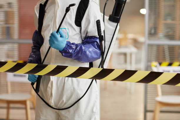 Professional Odor Removal technician working in Warren, NH