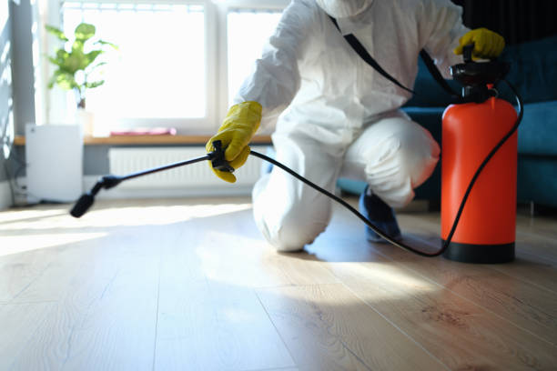 Reliable Odor Removal contractor in Warren, NH by Trauma Clean Pros
